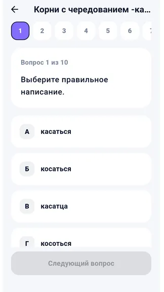 Скриншот 3 приложения Русский язык